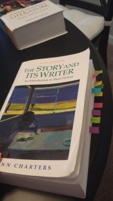 StoryWriter_ChristinesBookCollection